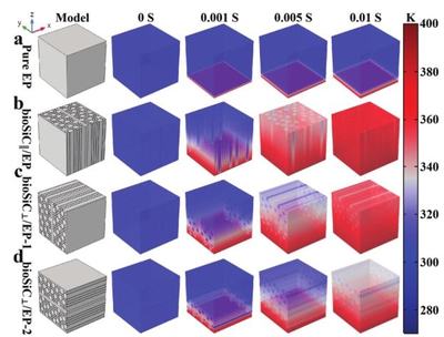 西安交大楊建鋒、王波《Adv.Sci.》 木材衍生3D SiC框架賦能，創(chuàng)制導(dǎo)熱率達(dá)10.27W/mK的高性能復(fù)合材料